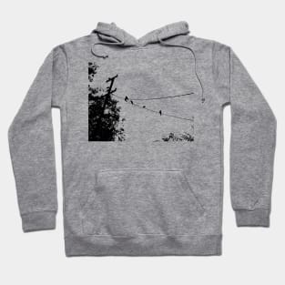 Crows on a wire Hoodie